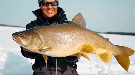 Menus – Trophy Fish.